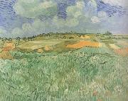 Vincent Van Gogh Plain near Auvers (nn04) oil painting reproduction